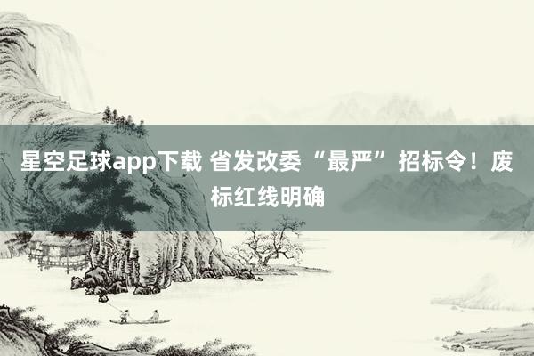 星空足球app下载 省发改委 “最严” 招标令！废标红线明确