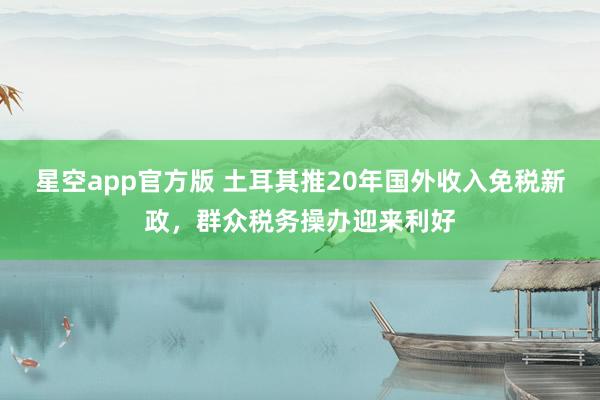 星空app官方版 土耳其推20年国外收入免税新政，群众税务操办迎来利好