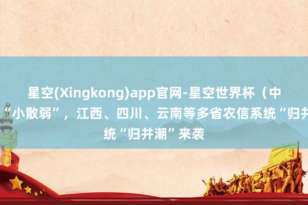 星空(Xingkong)app官网-星空世界杯（中国） 告别“小散弱”，江西、四川、云南等多省农信系统“归并潮”来袭