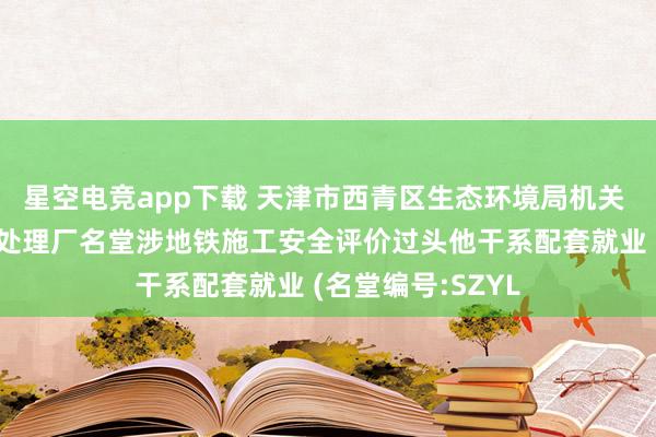 星空电竞app下载 天津市西青区生态环境局机关 西青确立区浑水处理厂名堂涉地铁施工安全评价过头他干系配套就业 (名堂编号:SZYL
