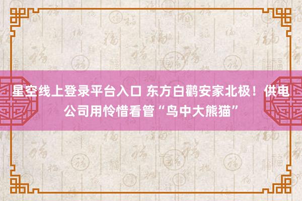 星空线上登录平台入口 东方白鹳安家北极！供电公司用怜惜看管“鸟中大熊猫”
